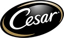 Cesar Cesar