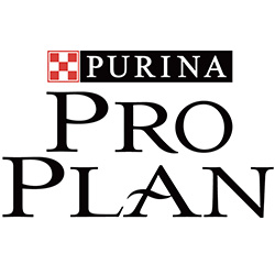 Pro Plan Pro Plan