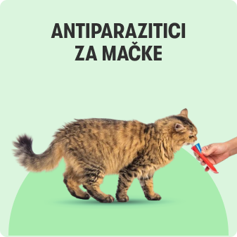 Antiparazitici za mačke Antiparazitici za mačke