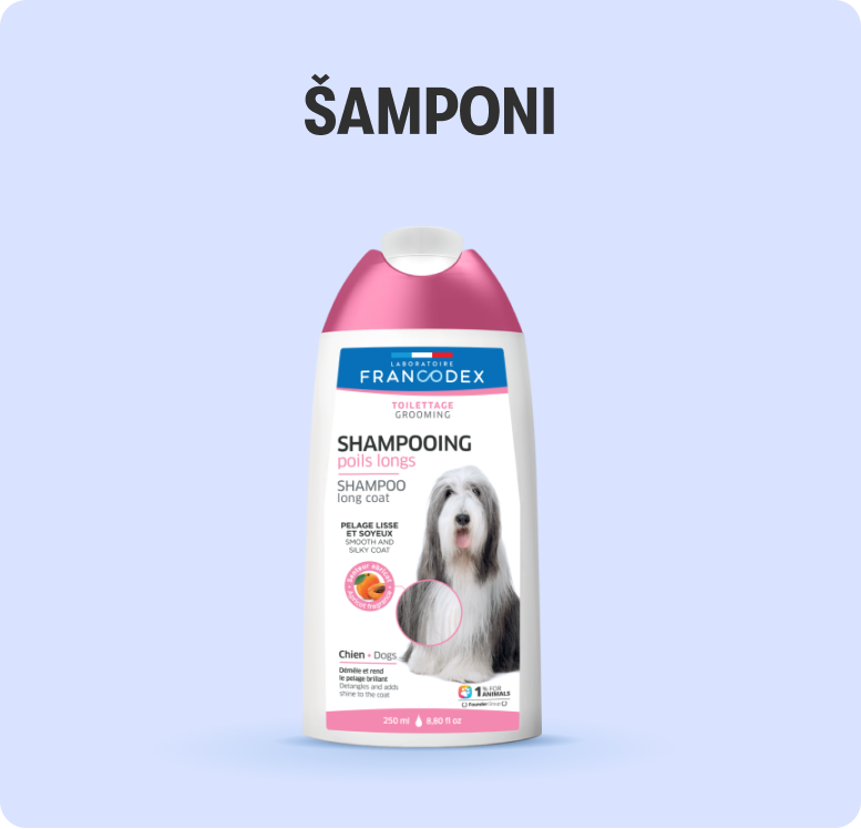 Šamponi