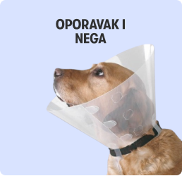 Oporavak i nega