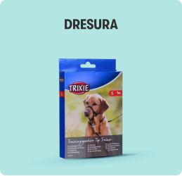 Dresura Dresura