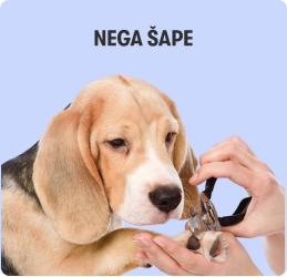 Nega šape