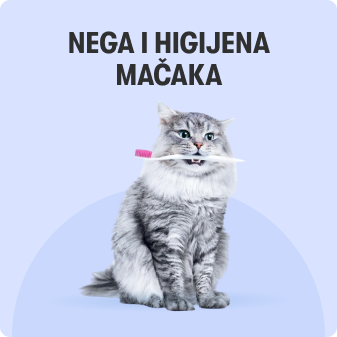 Nega i higijena mačaka