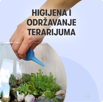 Nega i higijena terarijuma