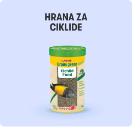 Hrana za ciklide
