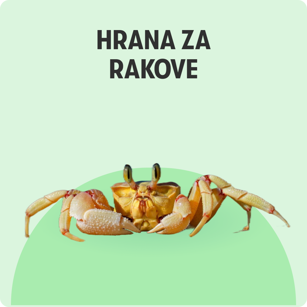 Hrana za rakove