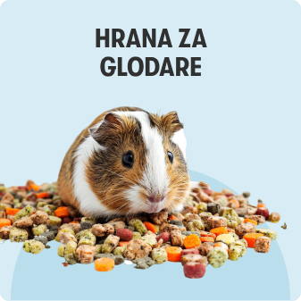 Hrana za glodare