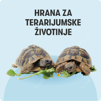 Hrana za reptile