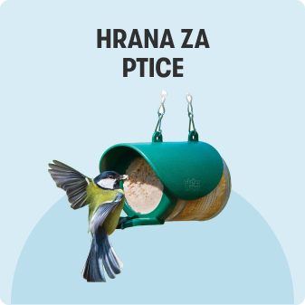 Hrana za ptice