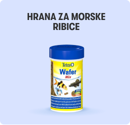 Hrana za morske ribice