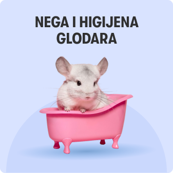 Nega i higijena glodara Nega i higijena glodara