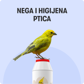 Nega i higijena ptica