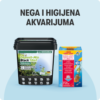Nega i higijena akvarijuma