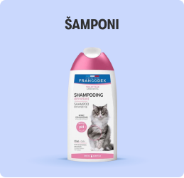 Šamponi