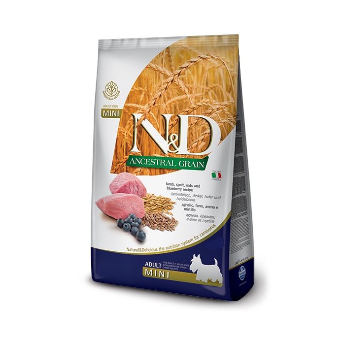 N&D Low Grain Mini Lamb & Blueberry 800g