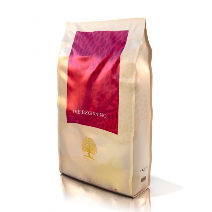 Essential The Beginning 12kg