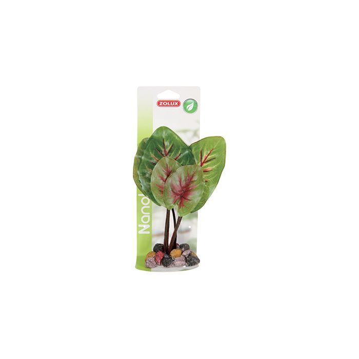 352061 Zolux Deco Nature N°1