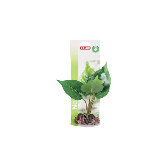 352062 Zolux Deco Nature N°2