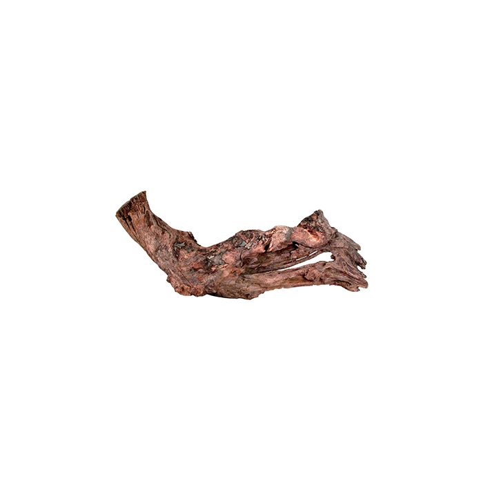 356025 Zolux Koren Mangrov S 15/25cm