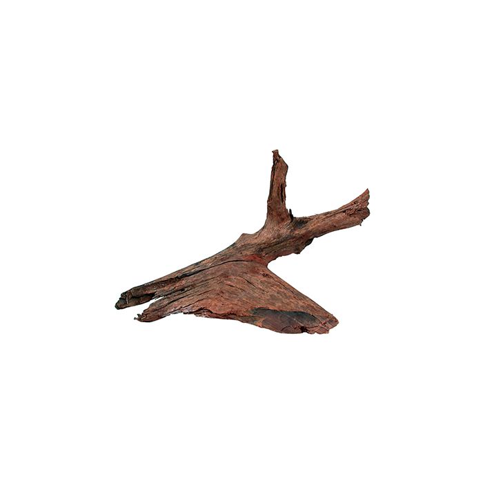 356030 Zolux Koren Mangrov M 25/40cm