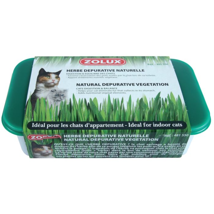 481550 Zolux Mačja Menta