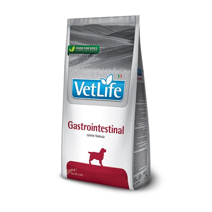 Vet Life Dog Gastrointestinal 2kg