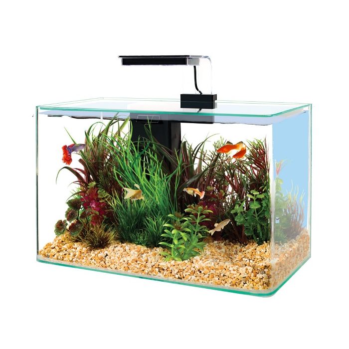 309018 Zolux Akvarijum Aqua Clear Sa Opremom Crni 40x20x33cm