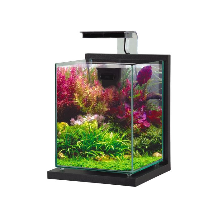307224 Zolux Jalaya 2 Akvarijum - Antracit 20x20x25cm
