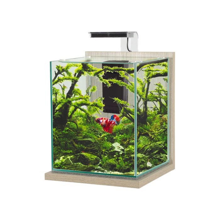 307225 Zolux Jalaya XL Akvarijum - Zebrano 25x25x30cm