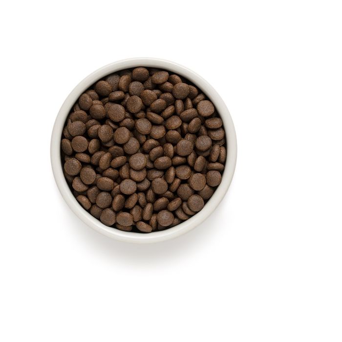 Grandorf Dog Adult Medium & Maxi Grain Free Zečetina & Ćuretina 1kg