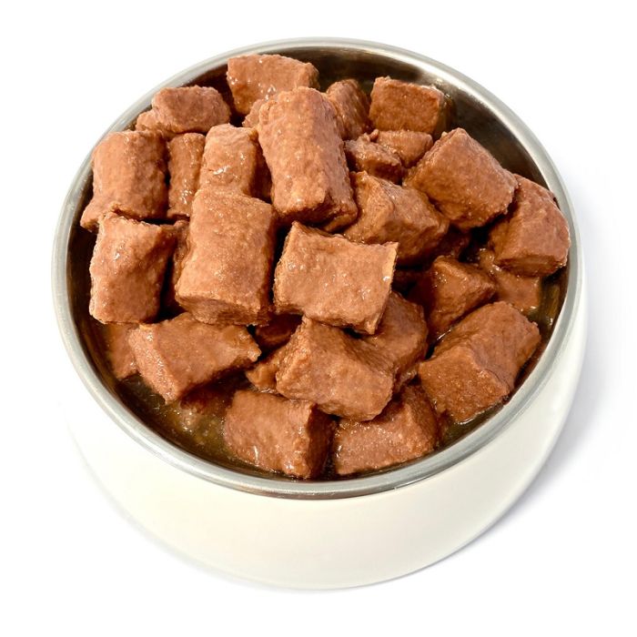 Pupil Teo Dog Adult Govedina 1250g