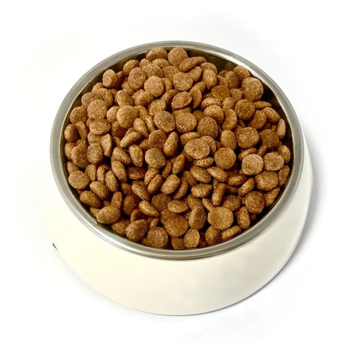 Pupil Teo Dog Adult Mini Govedina 820g