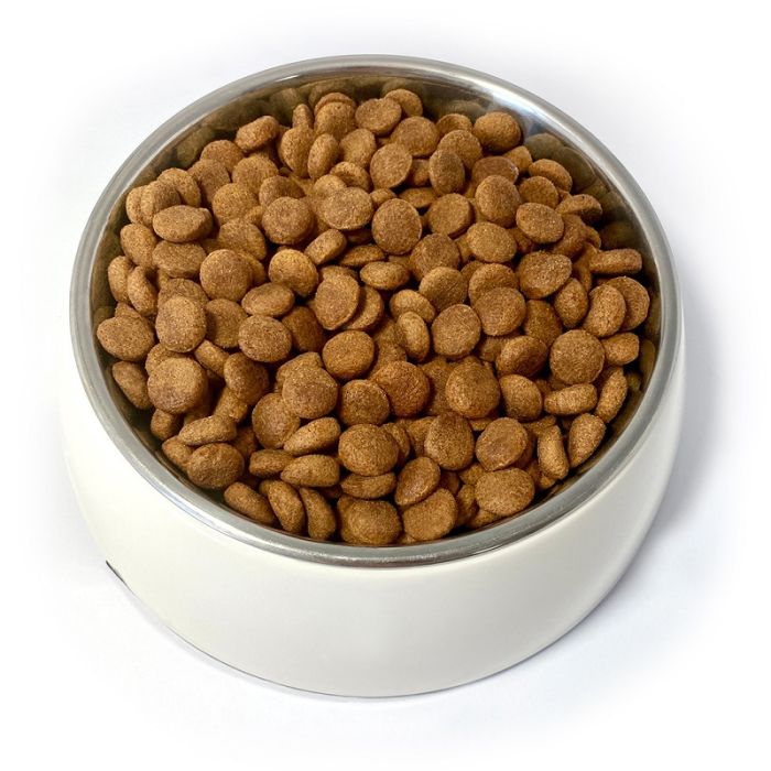 Pupil Teo Dog Adult Govedina 2,7kg