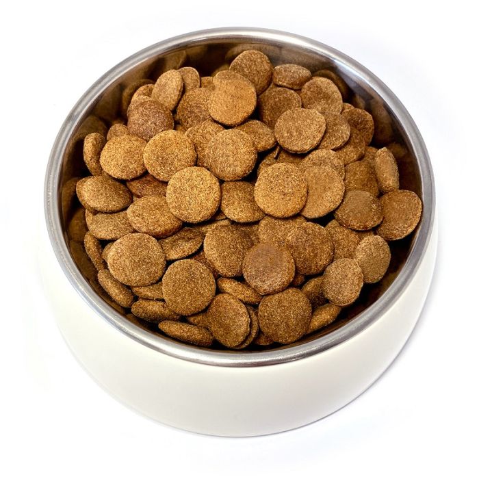 Pupil Teo Dog Adult Govedina 15kg