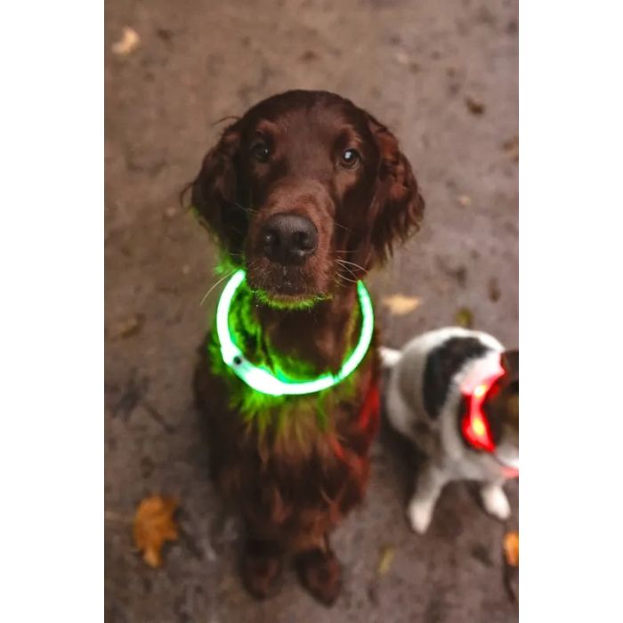 Flamingo Led Ogrlica Leora Visio Zelena 33-63,5cm / 8mm