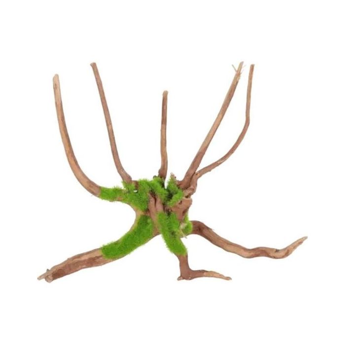 Zolux Kipouss Spider Koren S 10-20cm
