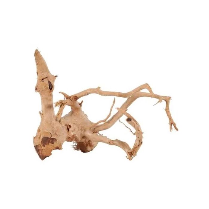 Zolux Spider Koren 10-30cm