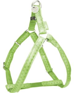 435176ANI Zolux Maclaeather Podesiv Am 20mm Anis