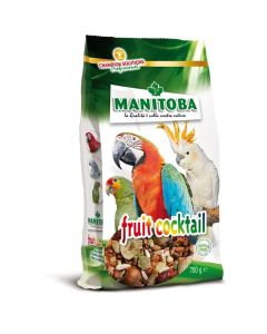 Manitoba Fruit Cocktail 700g