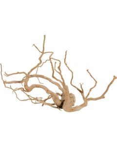 Zolux Spider Koren  60cm