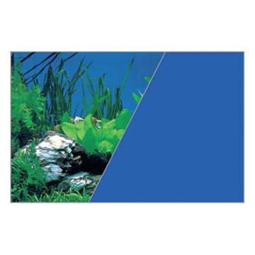 354868 Zolux Poster Ukrasni Kamen/Plavi H50 L80