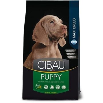 Cibau Maxi Puppy 12kg