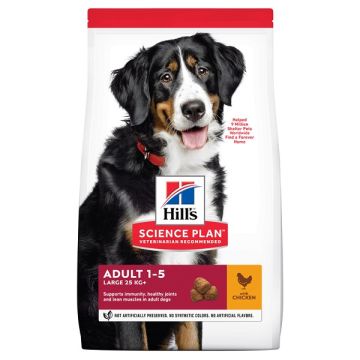 Hill's Canine Adult Large Breed Piletina 14kg