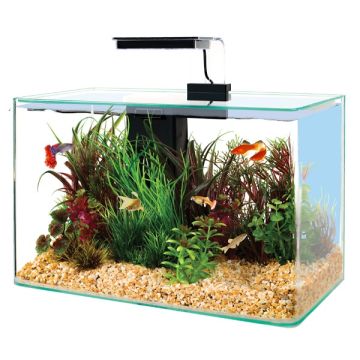 309018 Zolux Akvarijum Aqua Clear Sa Opremom Crni 40x20x33cm