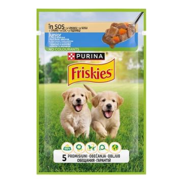Friskies Dog Junior Piletina i Šargarepa u Sosu 85g