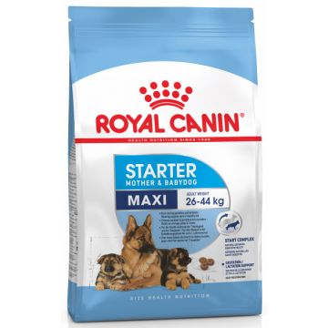 Royal Canin Maxi Starter 4kg