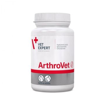 VetExpert ArthroVet HA 60 tableta