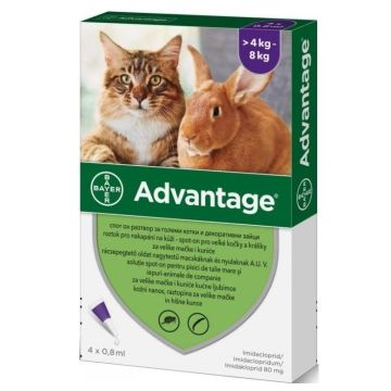 Advantage 80mg Spot-On Ampula za Velike Mačke i Kuniće 4-8kg 0,8ml / 1kom.