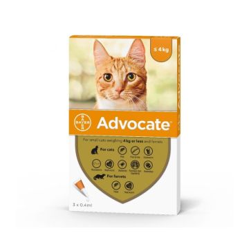 Advocate Spot-On Ampula za Male Mačke do 4kg 0,4ml / 1kom.